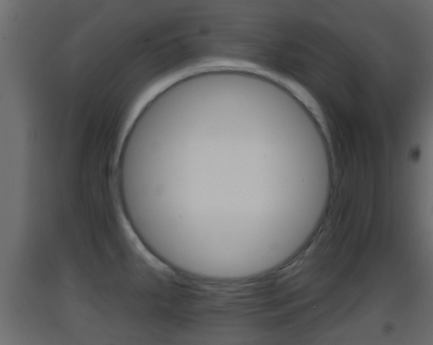 X0000093381287200710111340