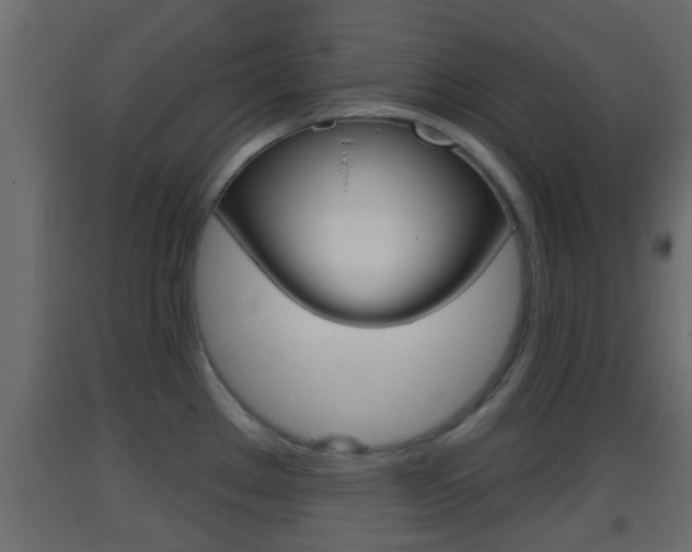 X0000093381289200710111340