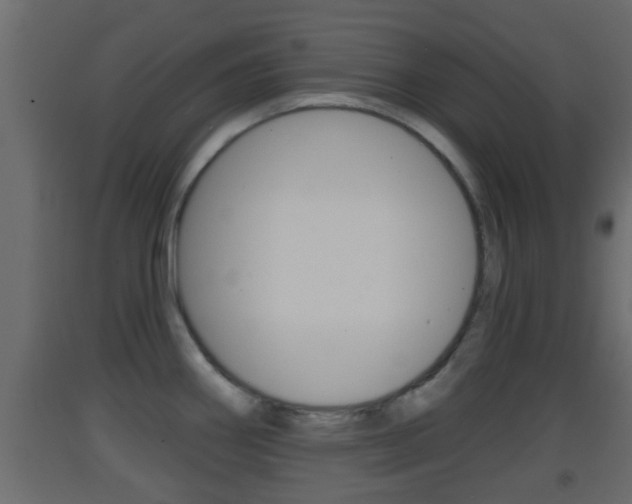 X0000093381290200710111340