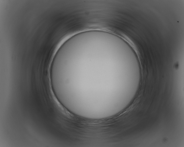 X0000093381291200710111340