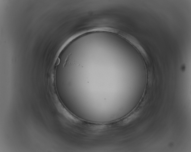 X0000093381292200710111340