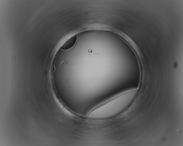 X0000093381293200710111340