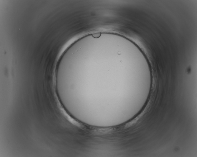 X0000093381294200710111340
