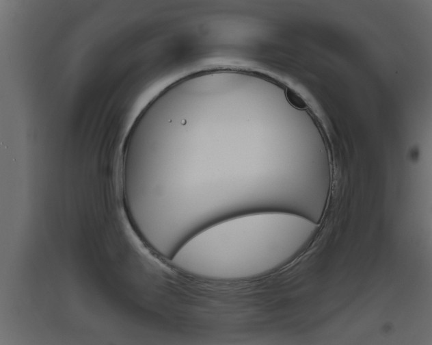 X0000093381295200710111340