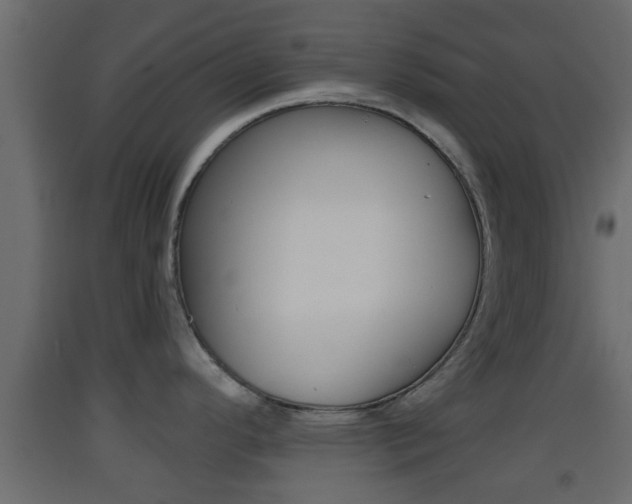 X0000093381296200710111340
