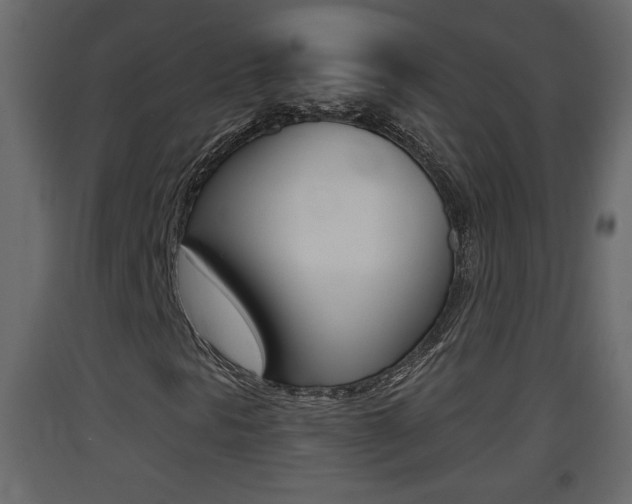 X0000093381297200710111339