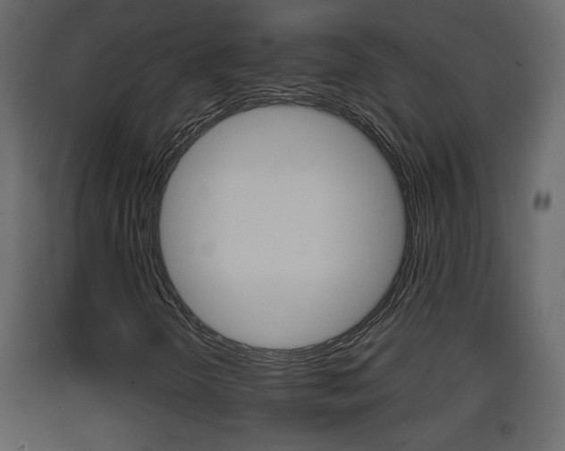 X0000093381298200710111339