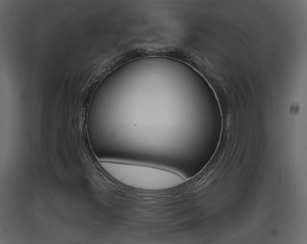 X0000093381300200710111339