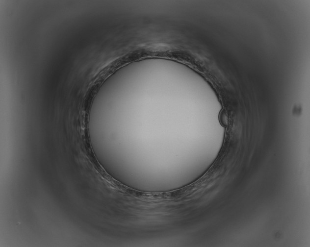 X0000093381301200710111339