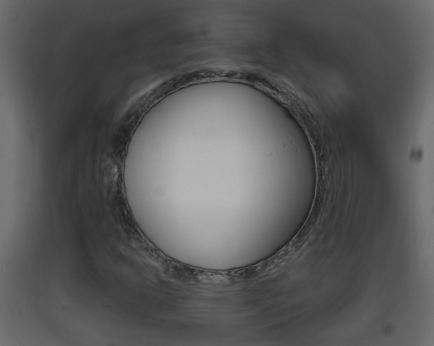 X0000093381302200710111339