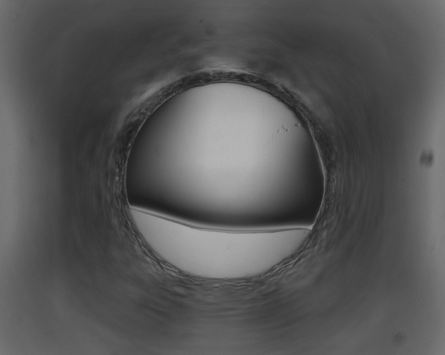X0000093381303200710111339