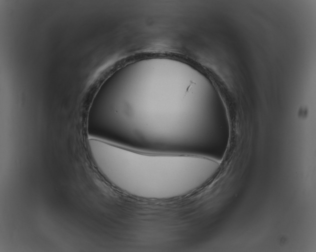 X0000093381304200710111339