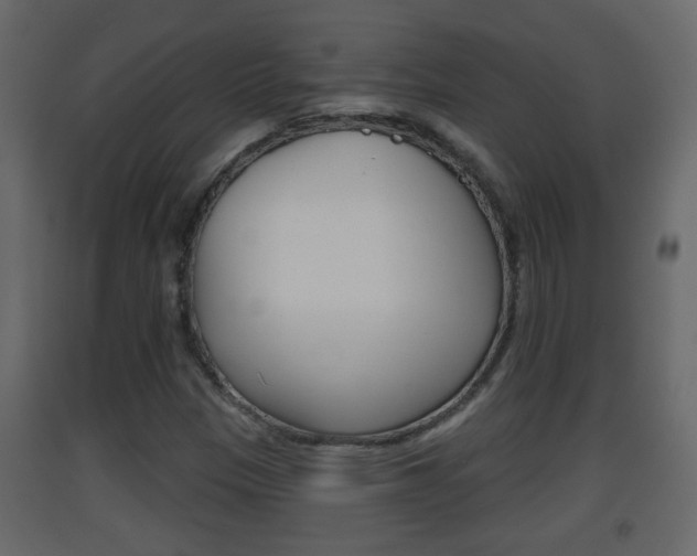 X0000093381305200710111339