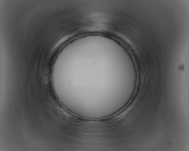 X0000093381306200710111339