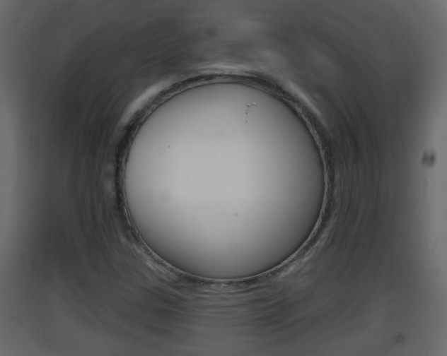 X0000093381307200710111339