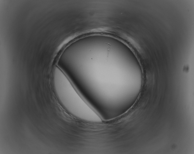 X0000093381308200710111339