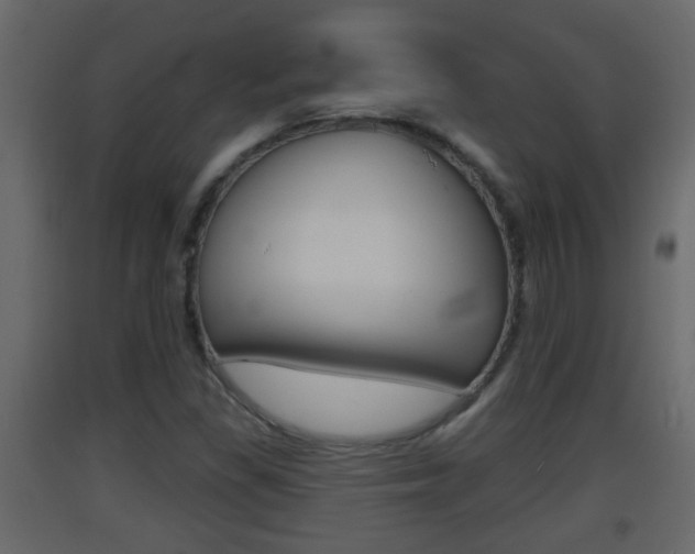 X0000093381309200710111339
