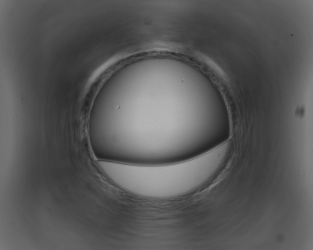 X0000093381310200710111339