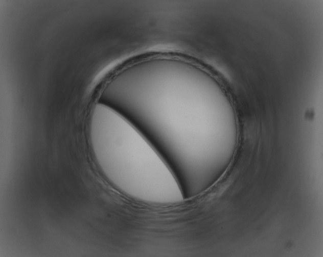 X0000093381311200710111339