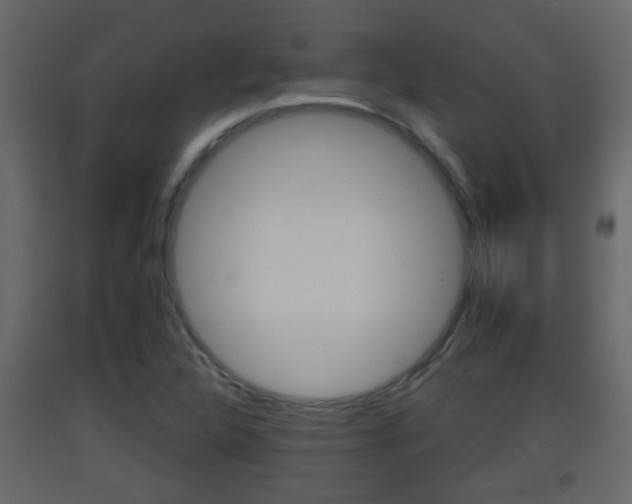 X0000093381312200710111339
