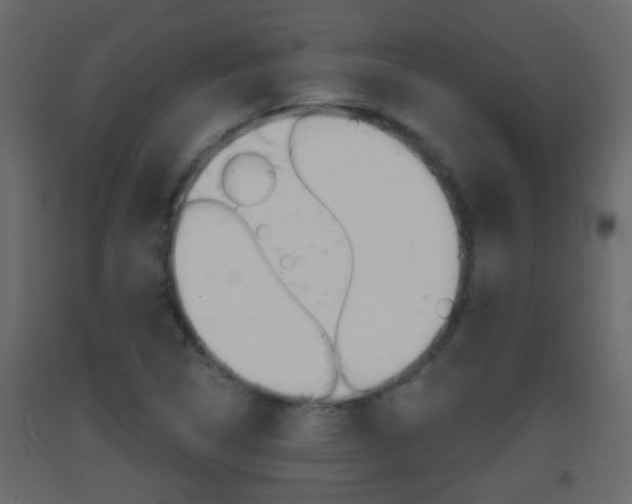 X0000093381314200710111339