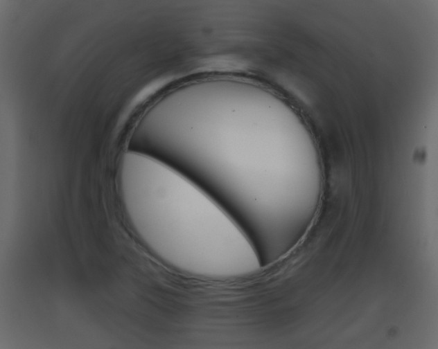 X0000093381315200710111339
