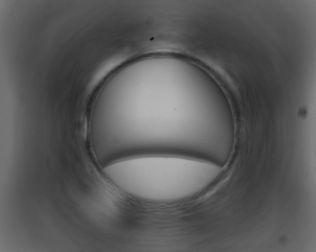 X0000093381317200710111340