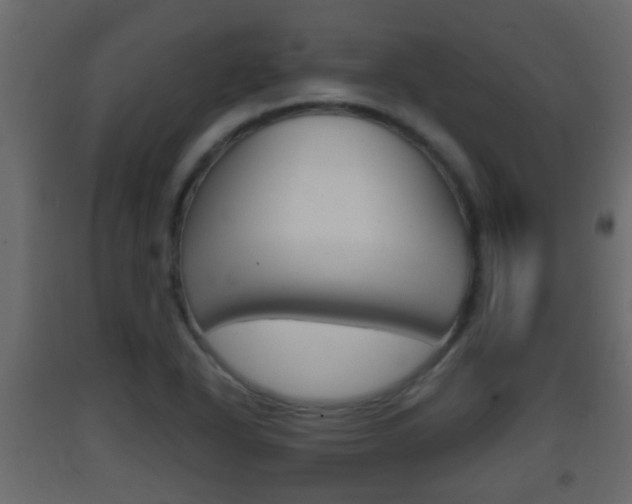 X0000093381318200710111340