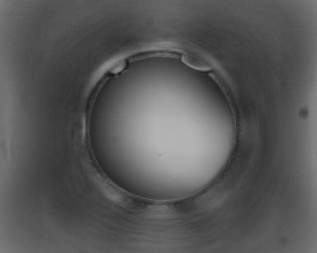 X0000093381320200710111340