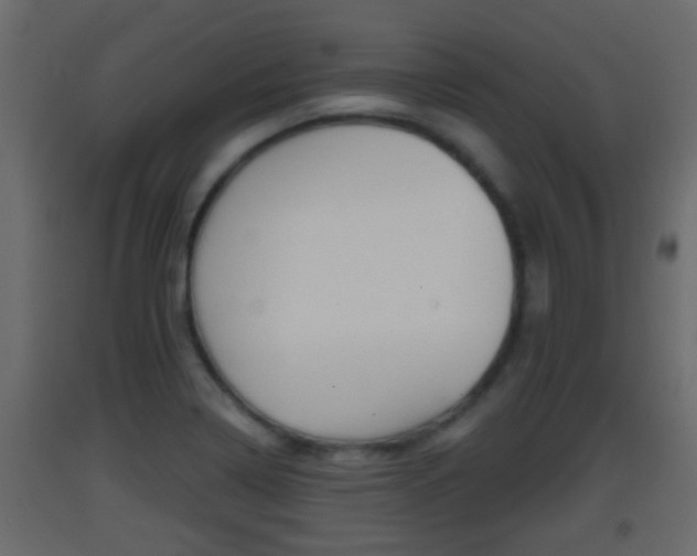 X0000093381322200710111340