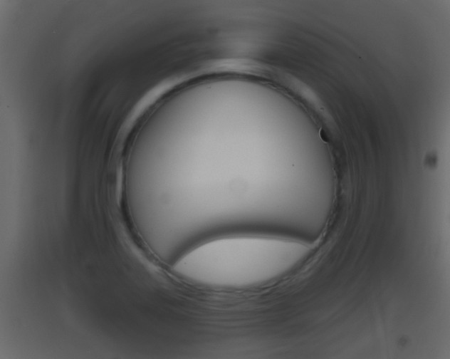 X0000093381323200710111340