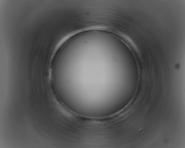 X0000093381324200710111340
