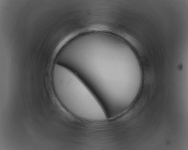 X0000093381325200710111340
