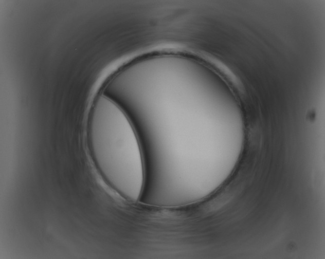 X0000093381327200710111340