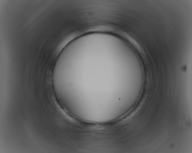 X0000093381329200710111340
