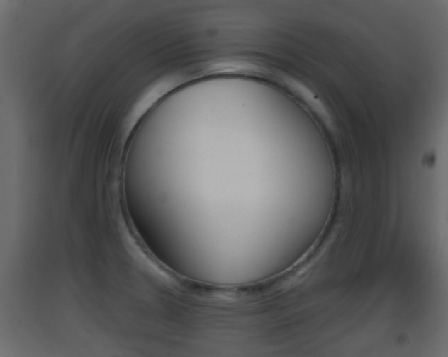 X0000093381330200710111340