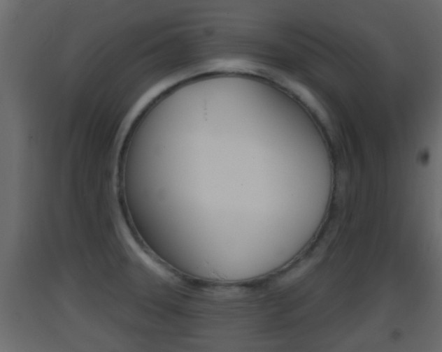 X0000093381331200710111340