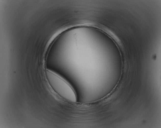 X0000093381332200710111340