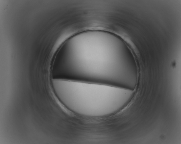X0000093381333200710111340