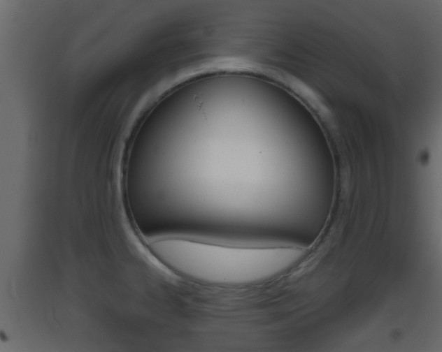 X0000093381334200710111340