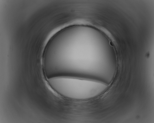 X0000093381335200710111340