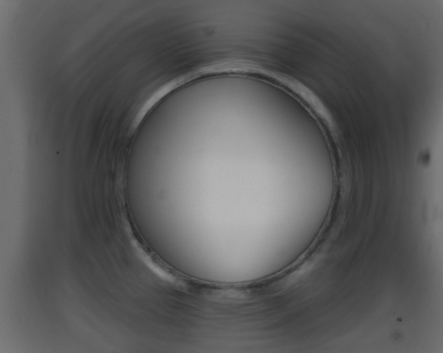 X0000093381337200710111340