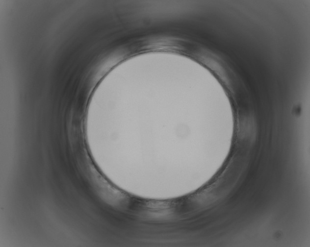 X0000093381338200710111340