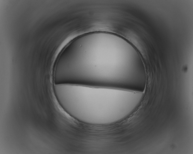 X0000093381339200710111340