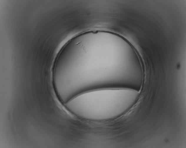 X0000093381341200710111340