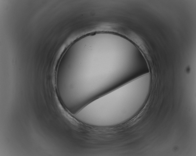 X0000093381342200710111340