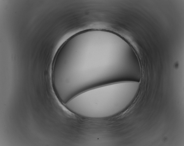 X0000093381343200710111340