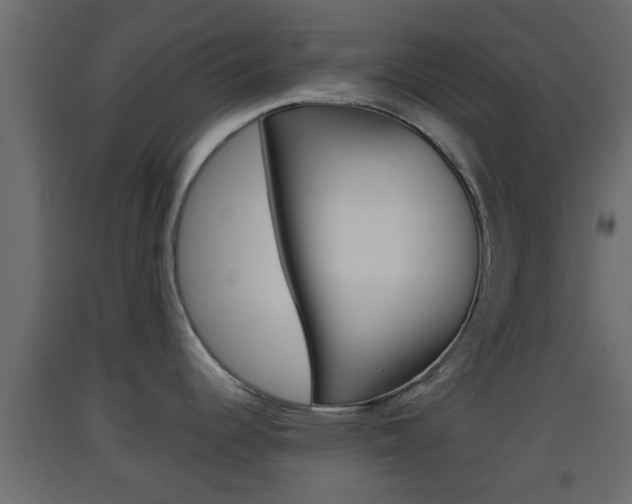 X0000093381344200710111340