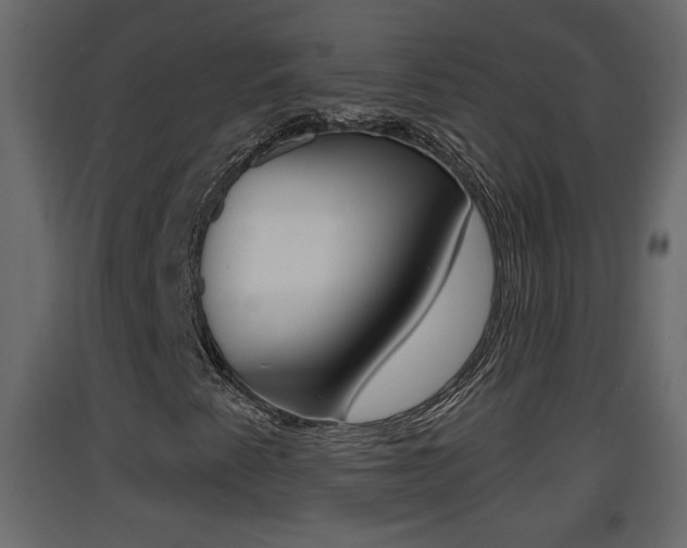 X0000093381345200710111339