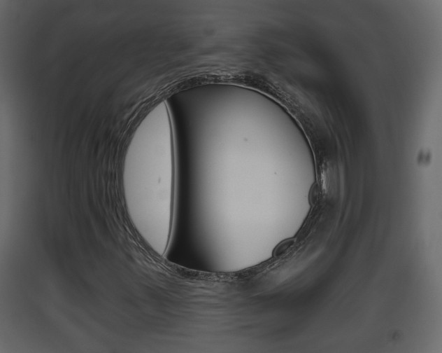 X0000093381347200710111339